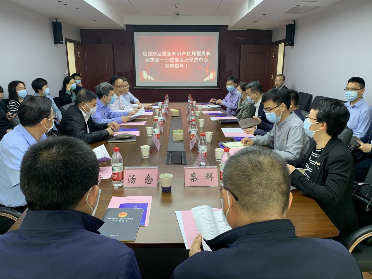 国家知识产权局何志敏副局长一行莅临 武汉保护中心考察指导4.jpg