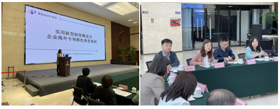 国家知识产权局实用新型审查部部长曲淑君一行到省知识产权保护中心调研座谈4.png