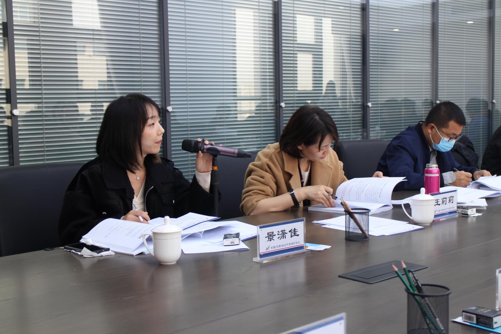 中国（甘肃）知识产权保护中心通过验收2.jpg