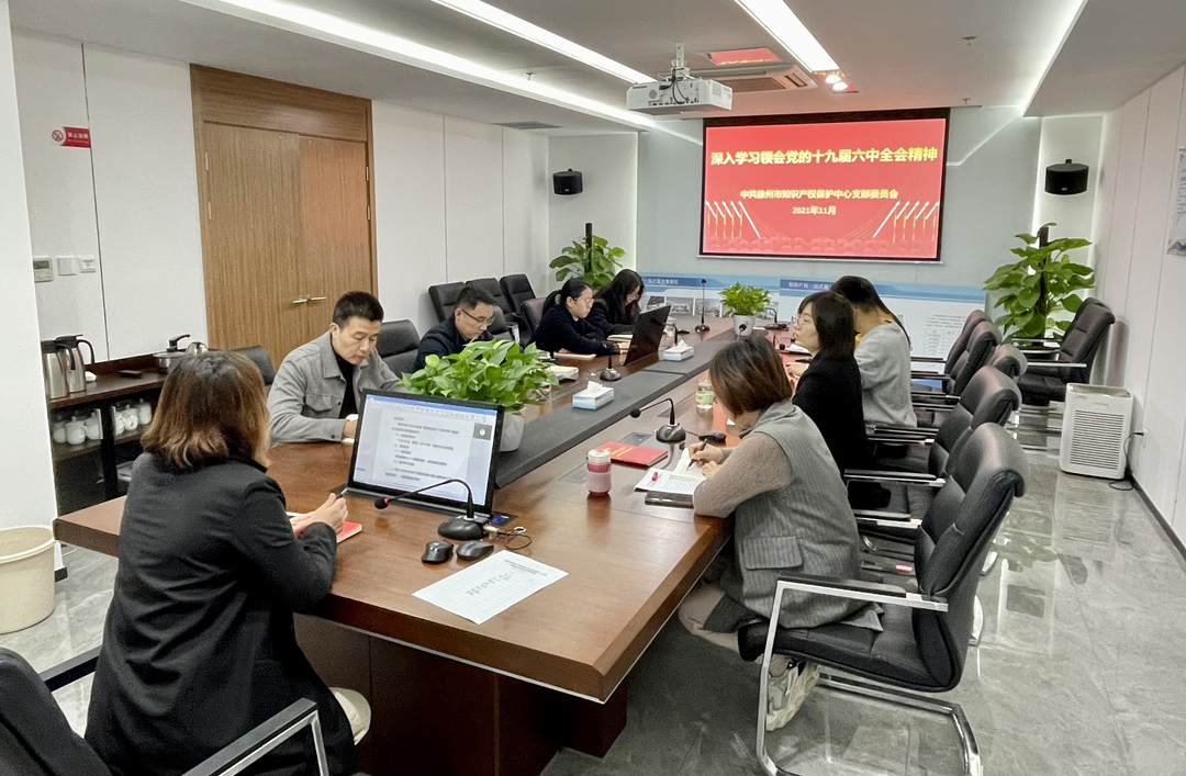 徐州保护中心党支部集中学习十九届六中全会精神.png