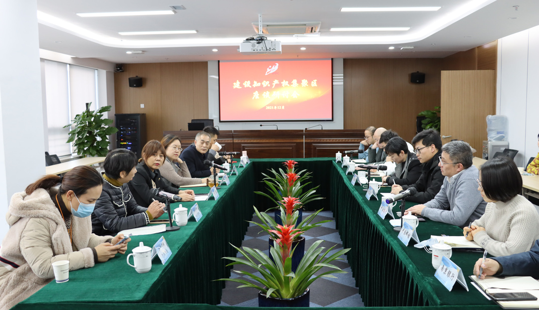 徐州保护中心召开知识产权集聚区建设座谈研讨会.png