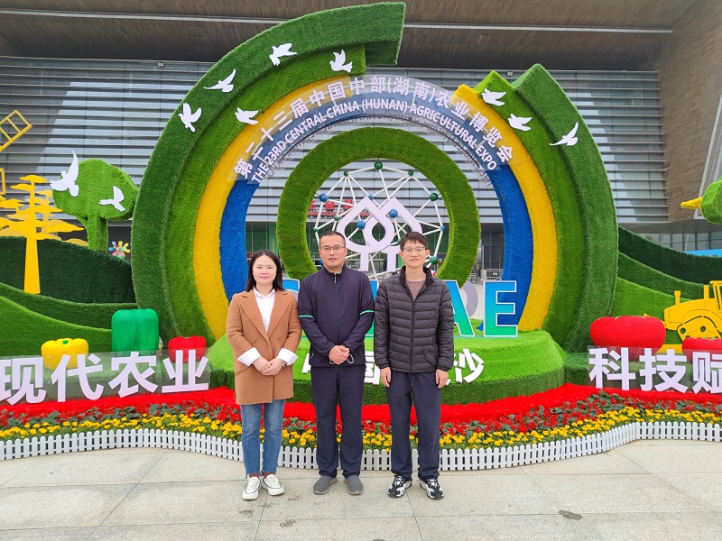 图片31.jpg