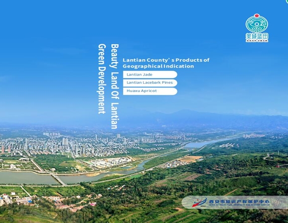 578图_20240108084102.png