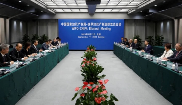 666信截图_20240923145620.png