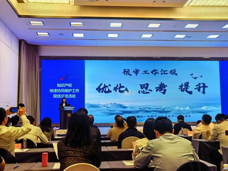 合肥保护中心在全国知识产权快速协同保护工作现场交流活动上作典型发言.png